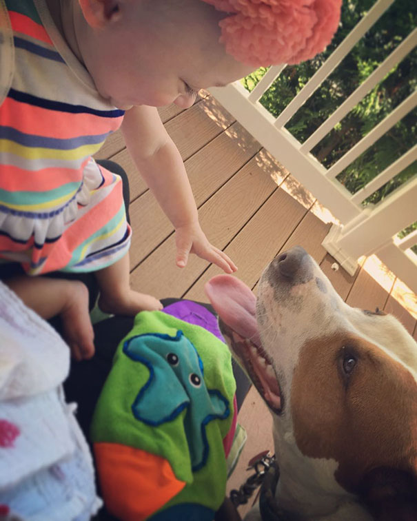 rescue-dog-baby-friends-jpeg-addie-belle-12
