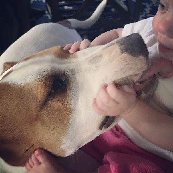 rescue-dog-baby-friends-jpeg-addie-belle-14 rescue-dog-baby-friends-jpeg-addie-belle-14