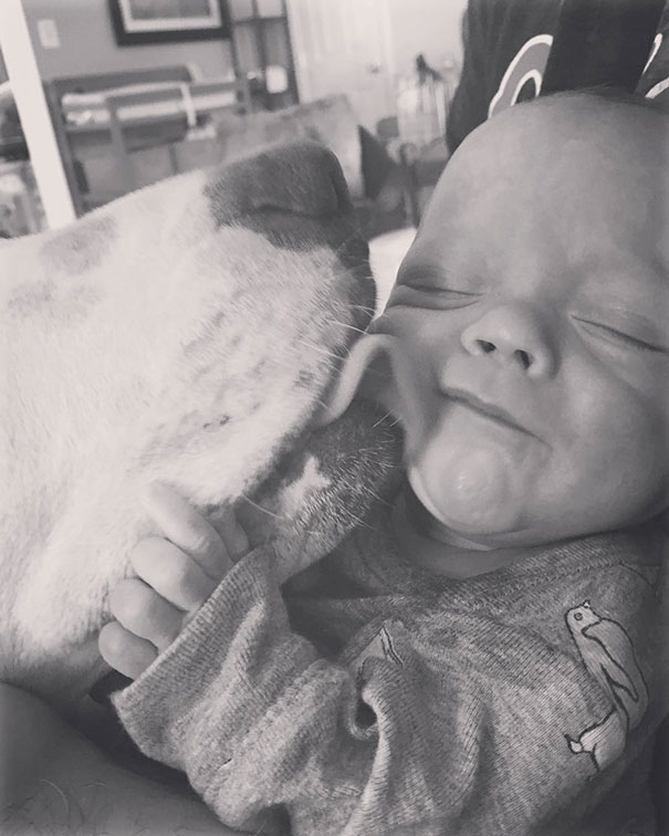 rescue-dog-baby-friends-jpeg-addie-belle-19 rescue-dog-baby-friends-jpeg-addie-belle-19