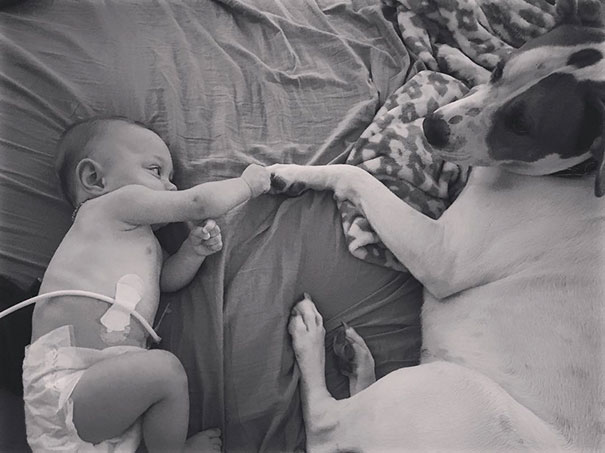 rescue-dog-baby-friends-jpeg-addie-belle-6 rescue-dog-baby-friends-jpeg-addie-belle-6