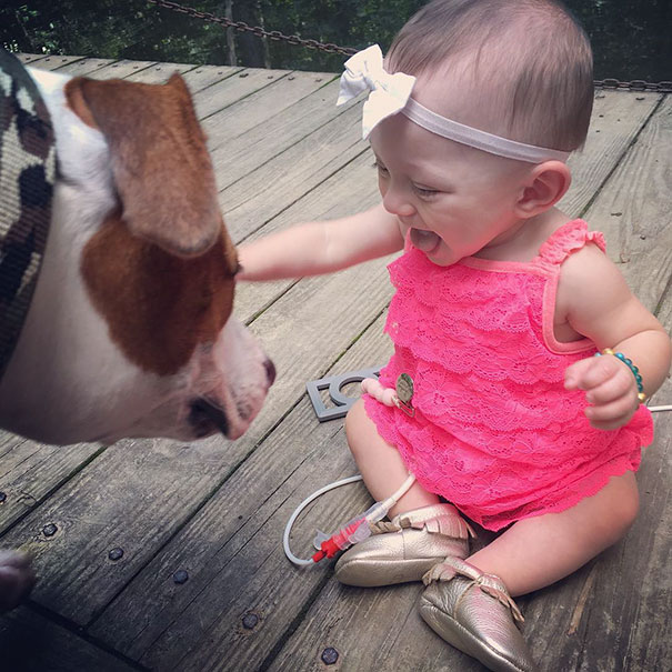 rescue-dog-baby-friends-jpeg-addie-belle-9