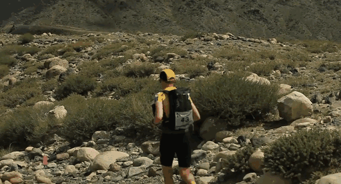 stray-dog-joins-race-gobi-dion-leonard-china-1 stray-dog-joins-race-gobi-dion-leonard-china-1