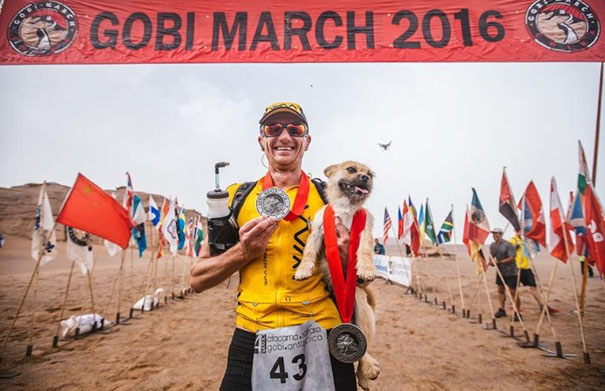 stray-dog-joins-race-gobi-dion-leonard-china-9 stray-dog-joins-race-gobi-dion-leonard-china-9
