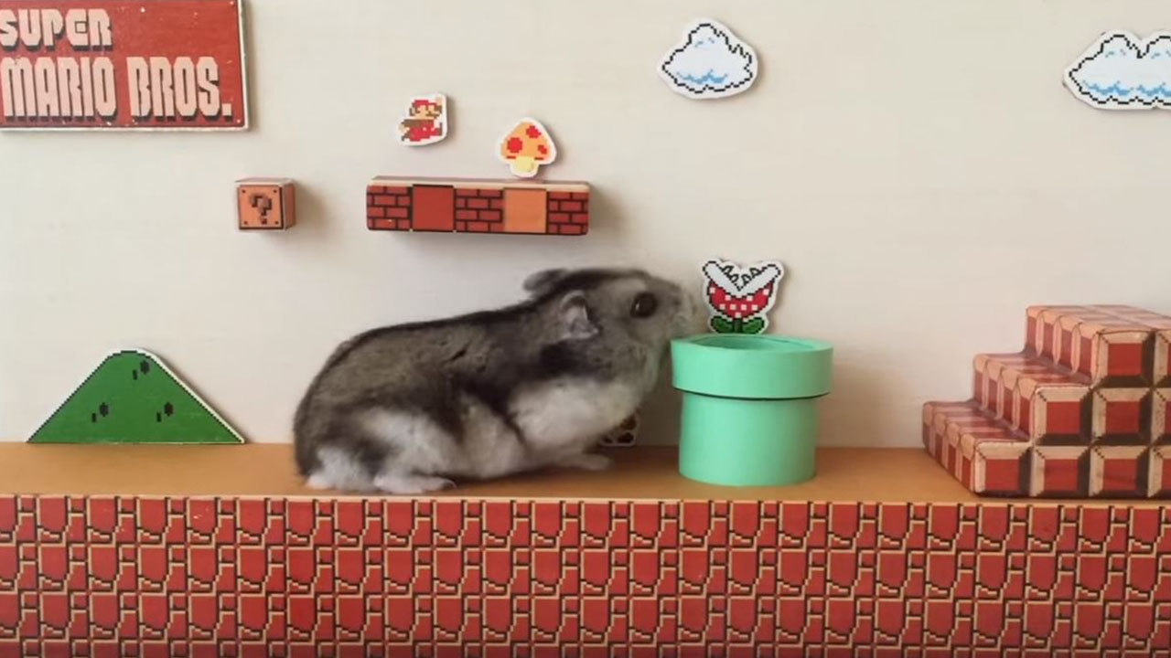 Super Hamster Bros.