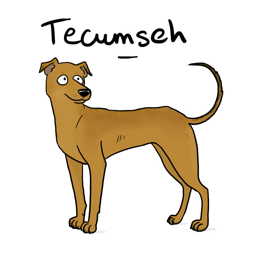 I Drew My Seven Dog Family I Drew My Seven Dog Family