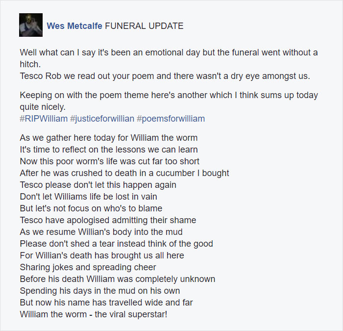 tesco-cucumber-worm-funeral-wes-metcalfe-4