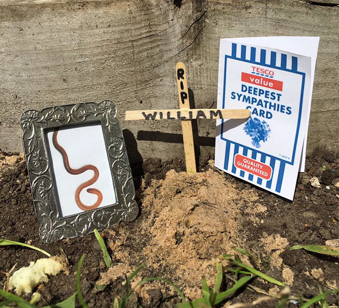 tesco-cucumber-worm-funeral-wes-metcalfe-5 tesco-cucumber-worm-funeral-wes-metcalfe-5