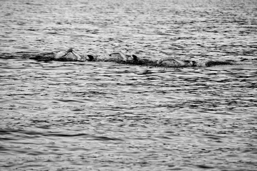 Black & White Summer Feelings