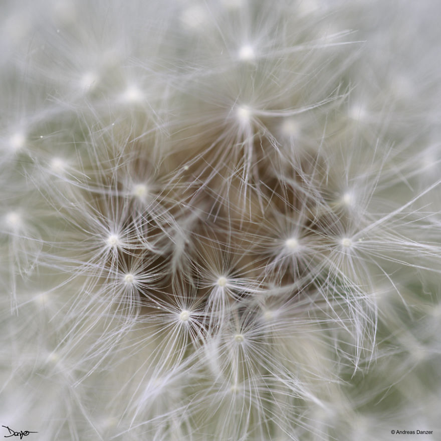 I Spent A Lot Of Time Processing My Photos... For Some Reason I Spent A Lot Of Time Processing My Photos... For Some Reason