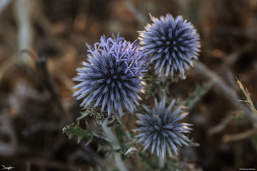 I Spent A Lot Of Time Processing My Photos... For Some Reason