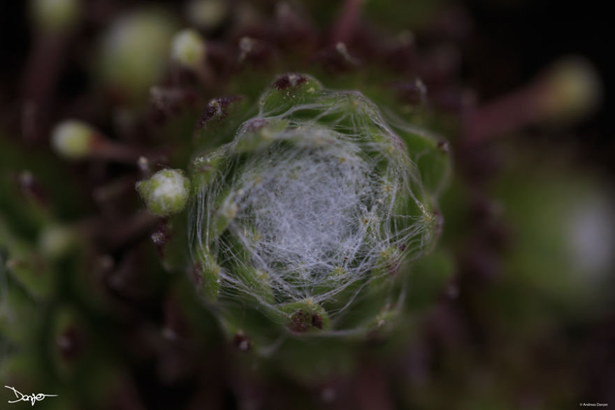 I Spent A Lot Of Time Processing My Photos... For Some Reason I Spent A Lot Of Time Processing My Photos... For Some Reason