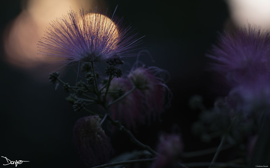 I Spent A Lot Of Time Processing My Photos... For Some Reason