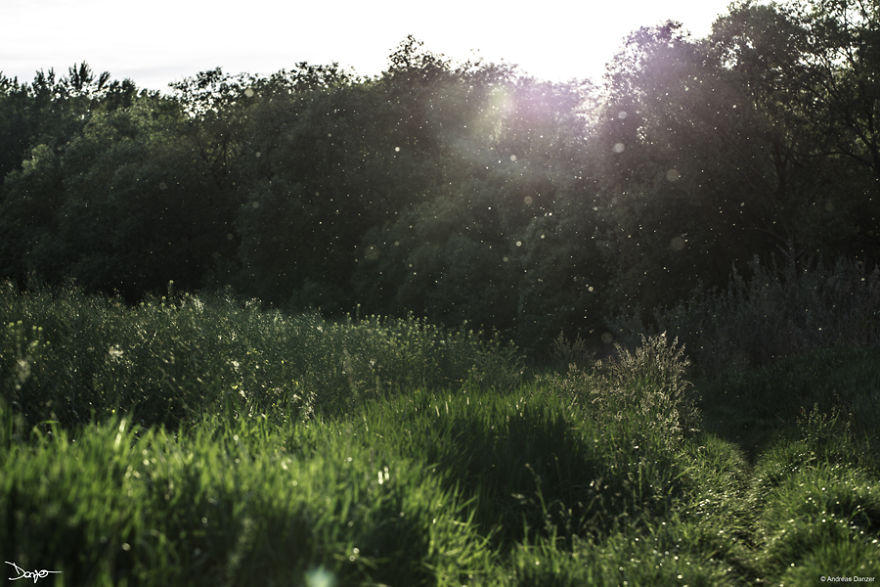 I Spent A Lot Of Time Processing My Photos... For Some Reason