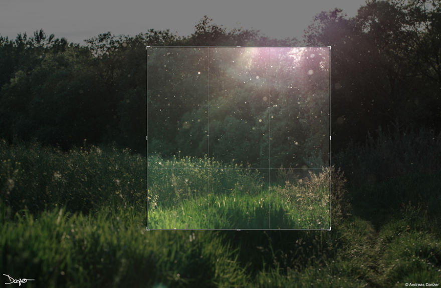 I Spent A Lot Of Time Processing My Photos... For Some Reason I Spent A Lot Of Time Processing My Photos... For Some Reason