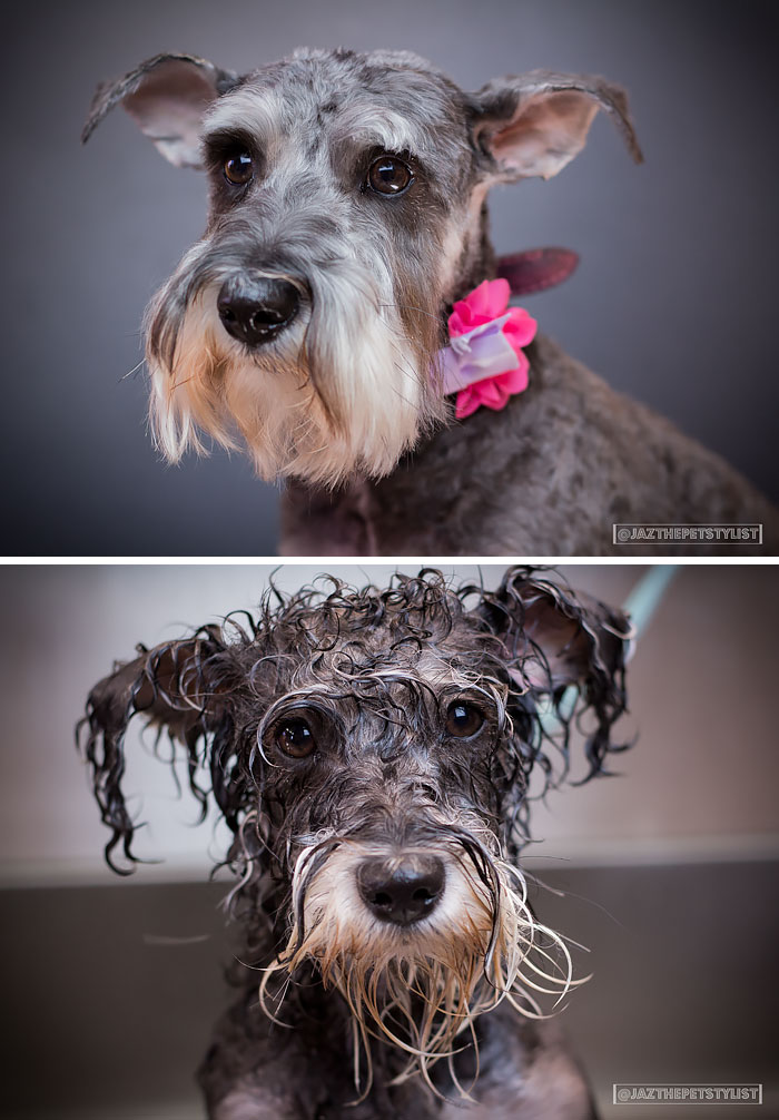 Before Vs. After Bath