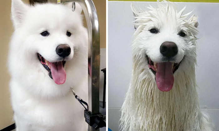 Before Vs. After Bath