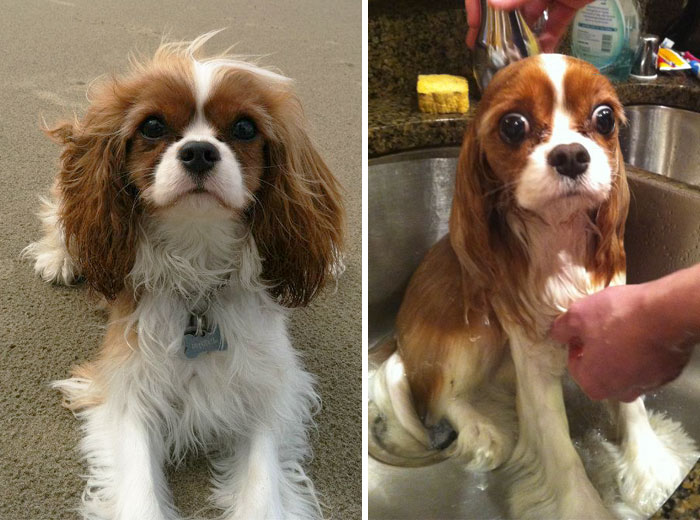 Before Vs. After Bath
