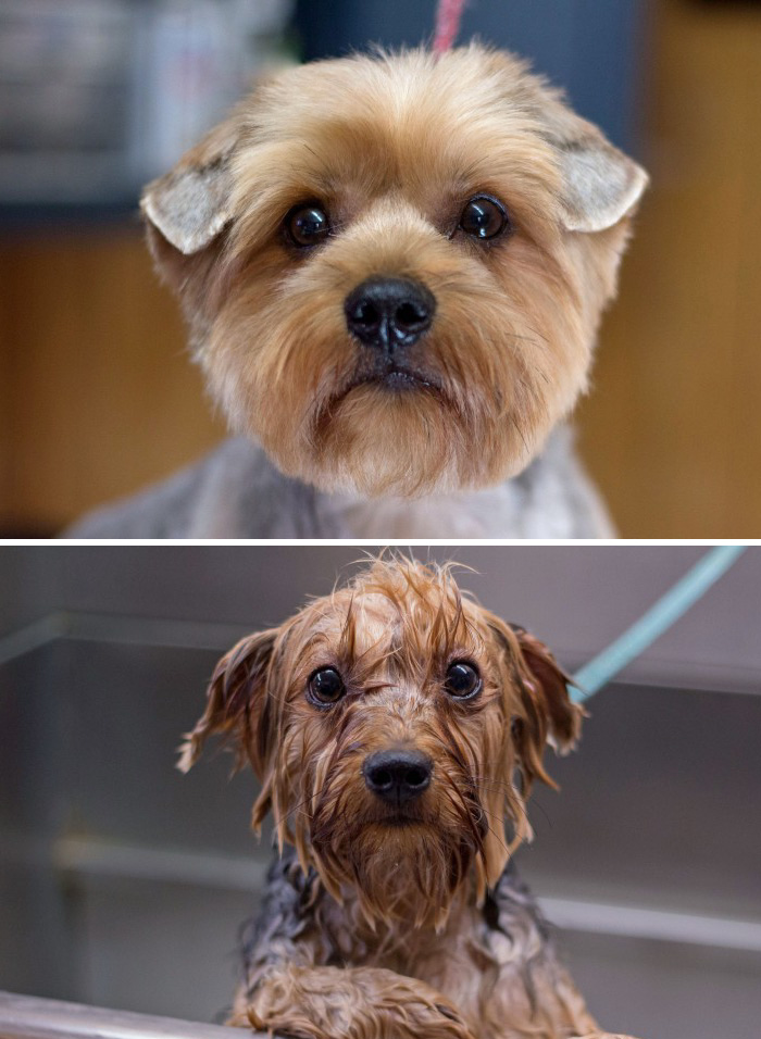 Before Vs. After Bath