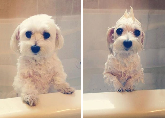 Before Vs. After Bath