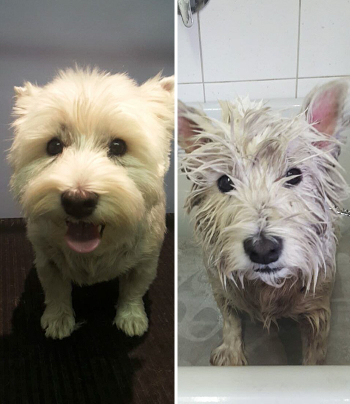 Before Vs. After Bath