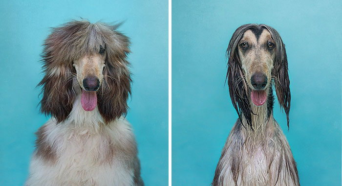 Before Vs. After Bath