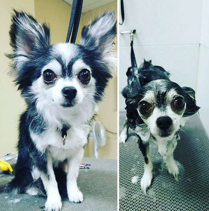 Before Vs. After Bath