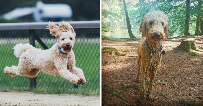 Before Vs. After Bath