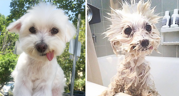 Before Vs. After Bath