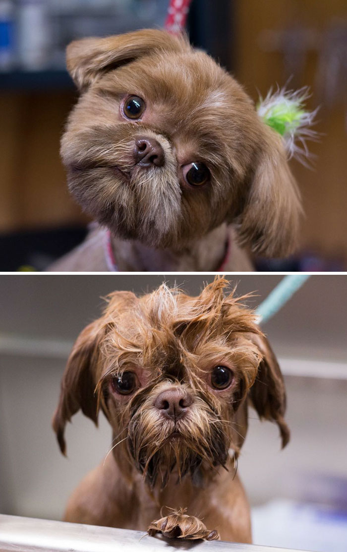 Before Vs. After Bath