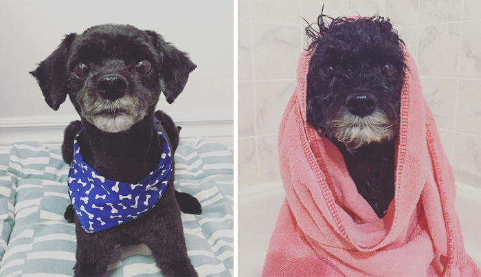 Before Vs. After Bath