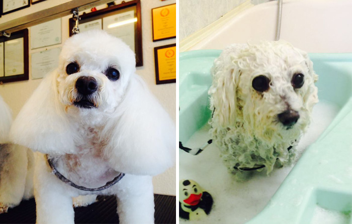 Before Vs. After Bath