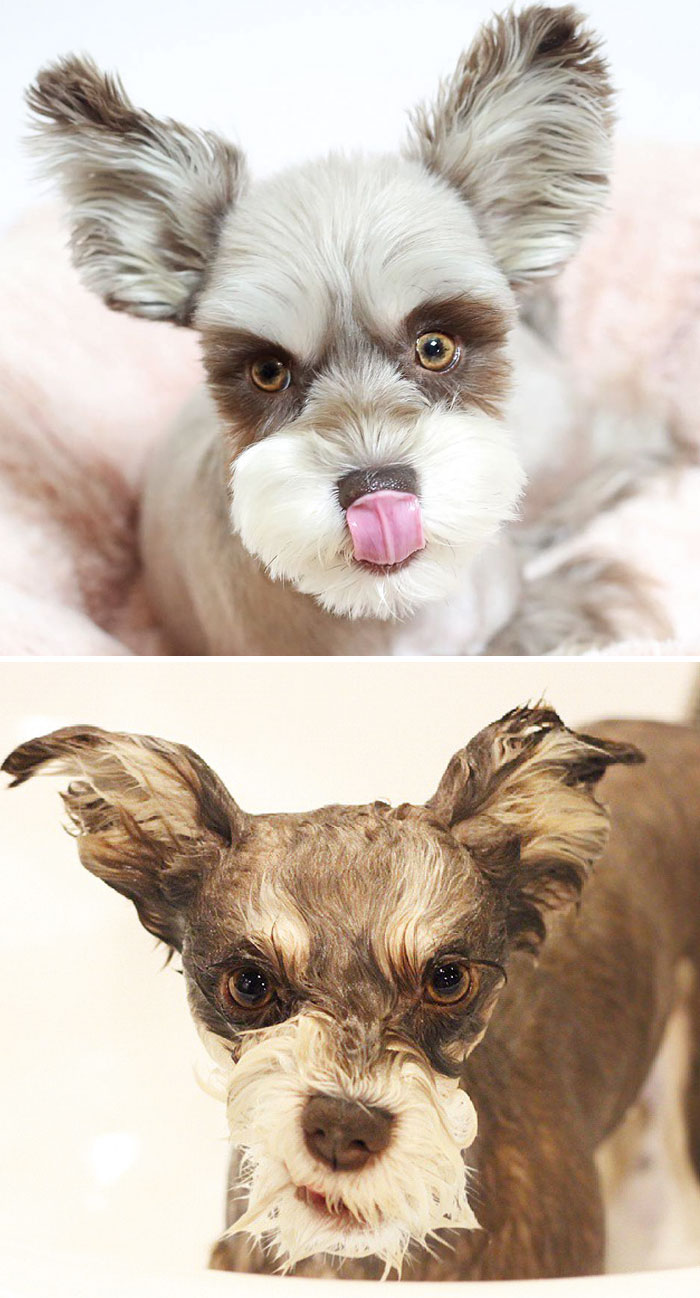 Before Vs. After Bath
