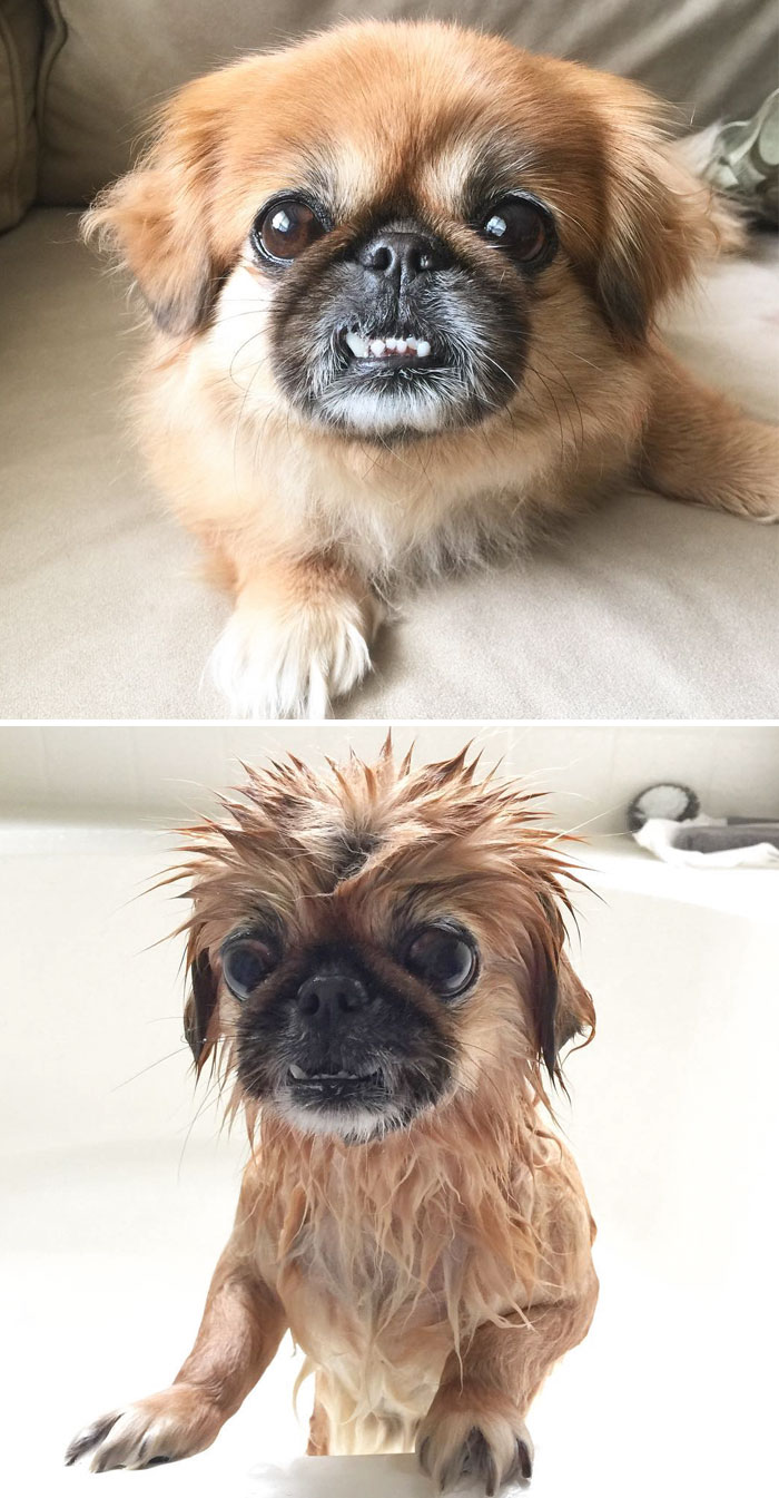 Before Vs. After Bath