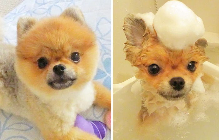 Before Vs. After Bath