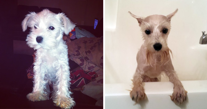 Before Vs. After Bath