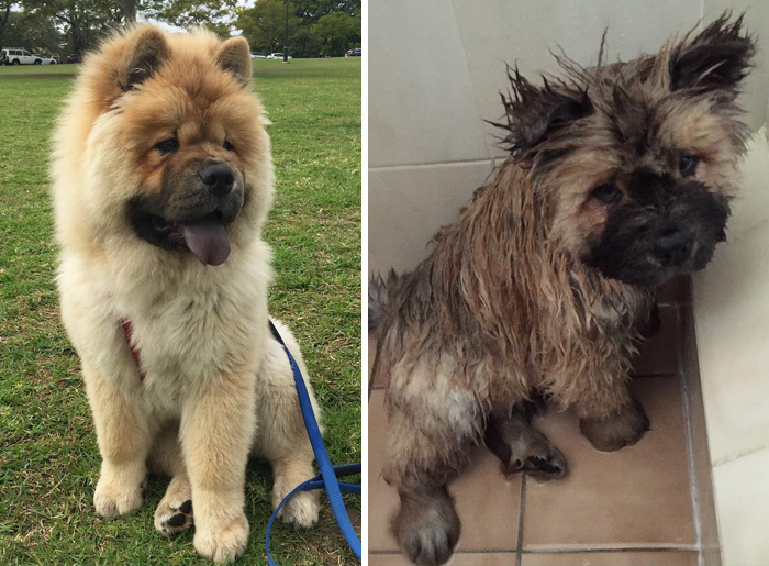 Before Vs. After Bath