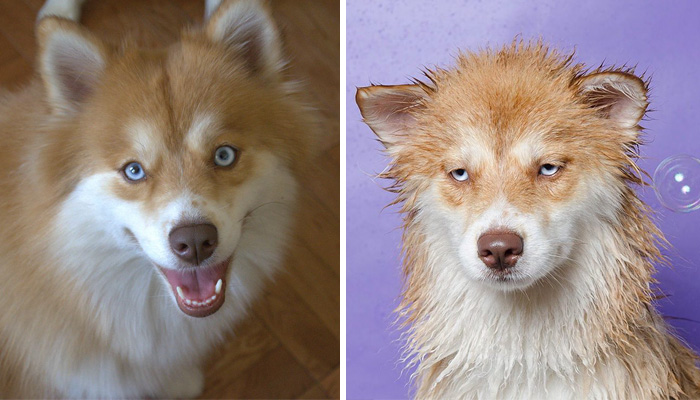 Before Vs. After Bath