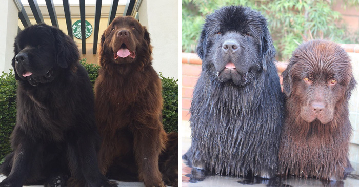 Before Vs. After Bath