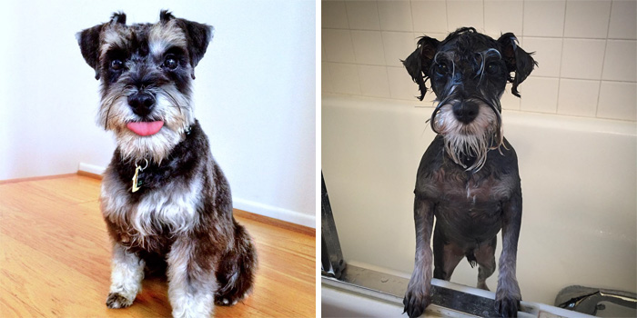 Before Vs. After Bath