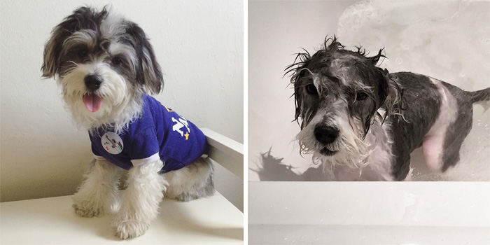 Before Vs. After Bath