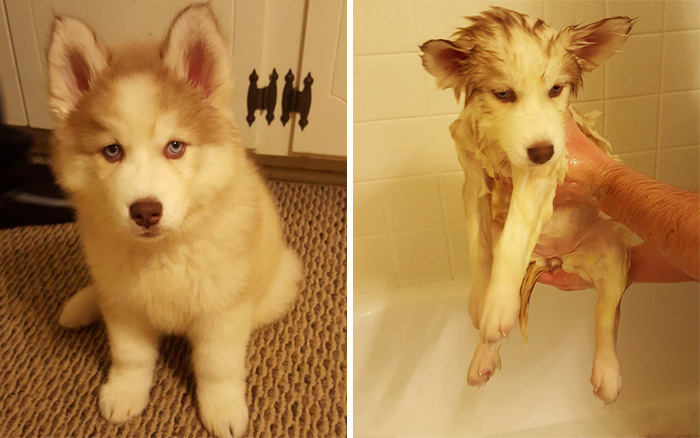 Before Vs. After Bath