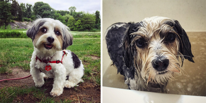 Before Vs. After Bath