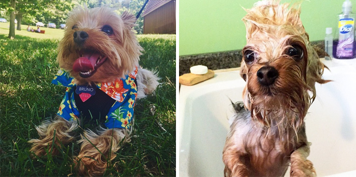 Before Vs. After Bath