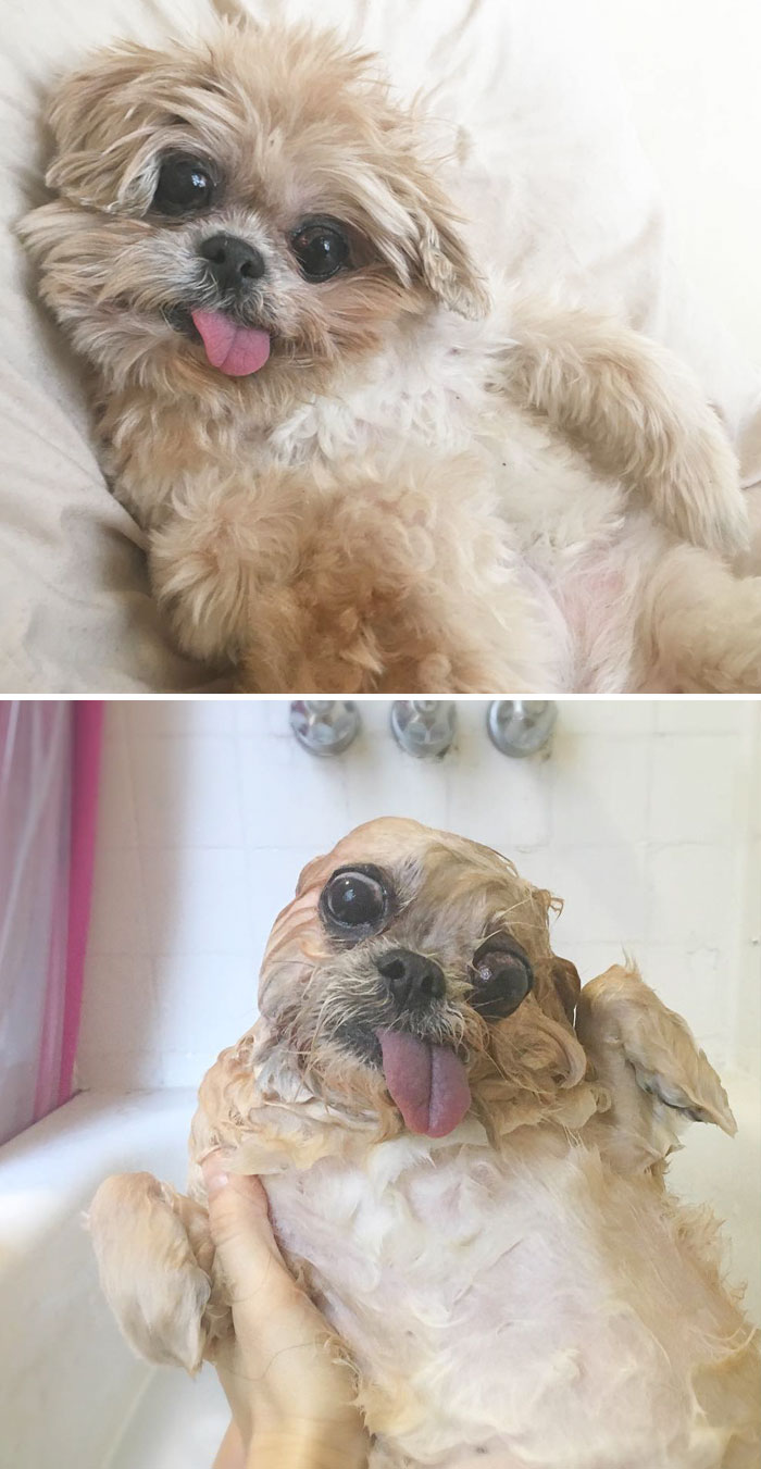 Before Vs. After Bath