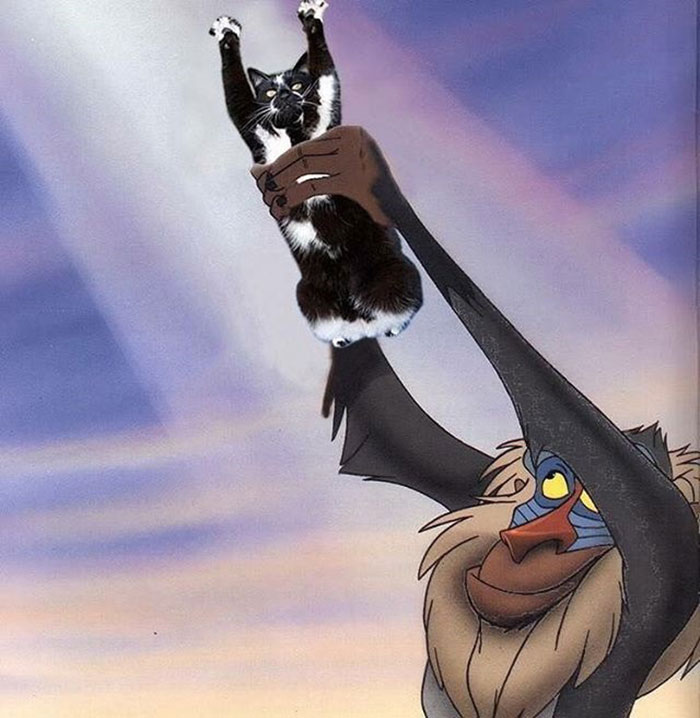 Nantsingonyamabagithibabasithiuhmingonyama