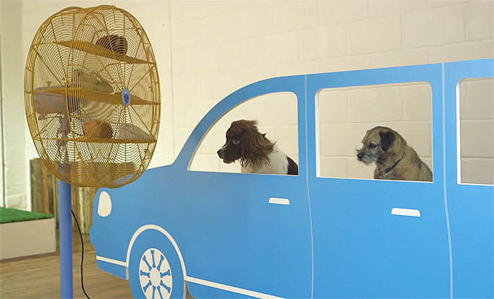 world-first-dog-art-exhibition-dominic-wilcox-london-16 world-first-dog-art-exhibition-dominic-wilcox-london-16