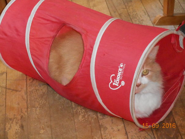 Monsieur Caramel Dans Son Tunnel.