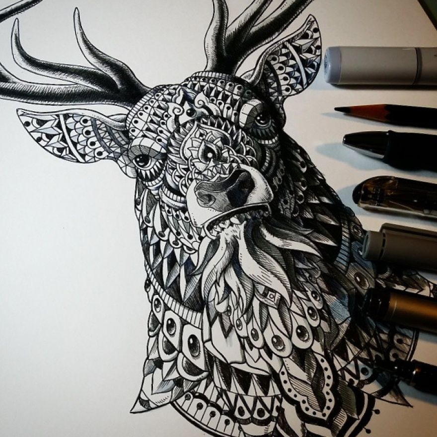 Ornate And Intricate Animal Drawings