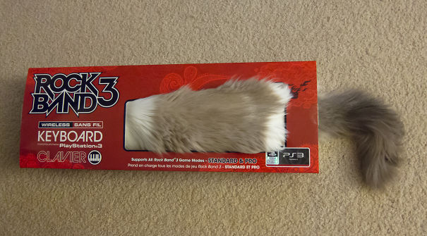 Playing Rockband In Dream