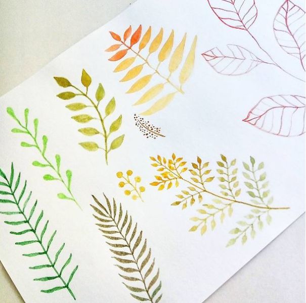 I Paint Watercolor Illustrations